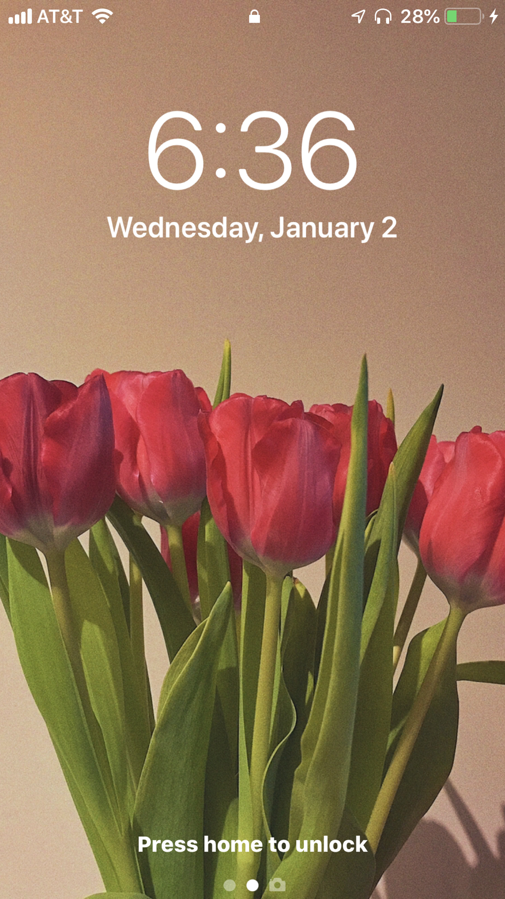 아이패드 배경화면 고화질 꽃 – transportkuu.com