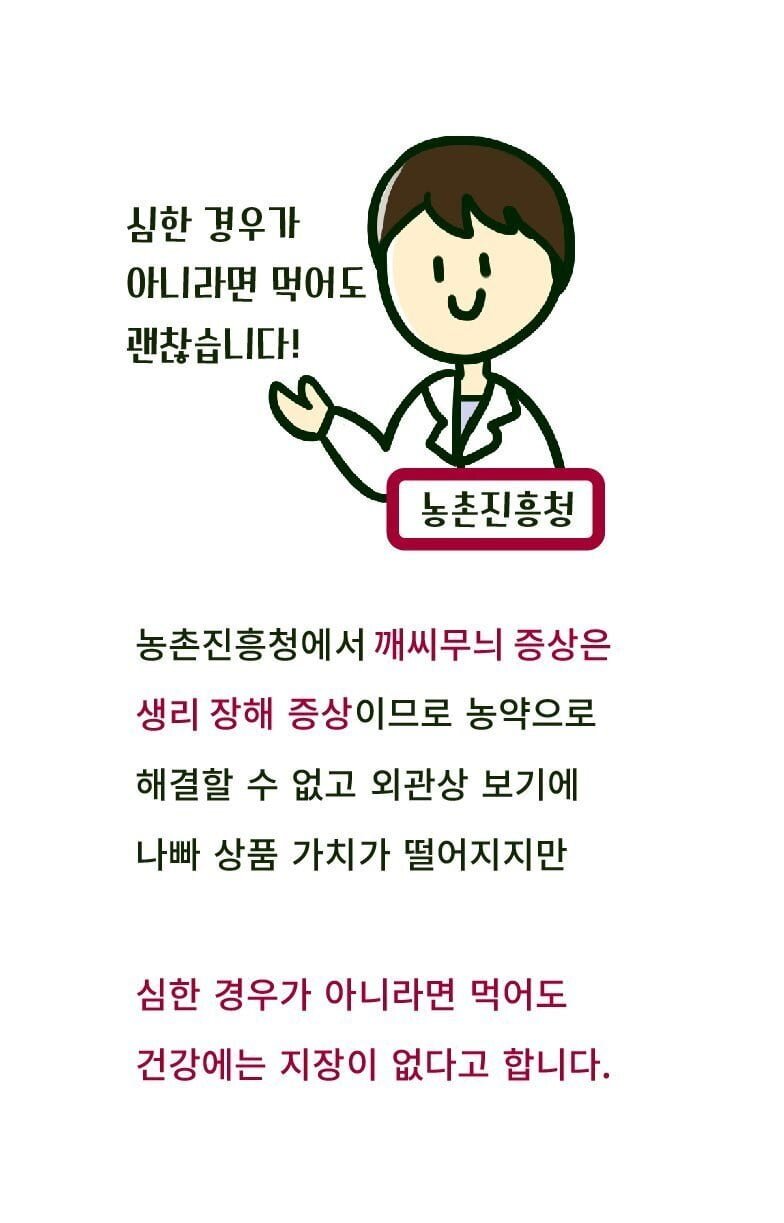 의외로 못먹는 사람이 꽤 많은 김치 | 인스티즈