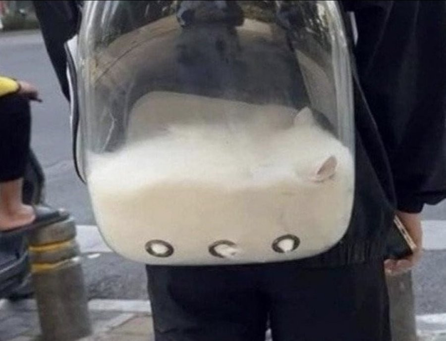 가방에 우유 붓고 다니는 사람 | 인스티즈