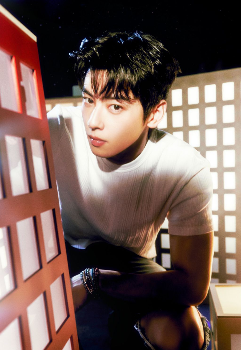 차은우 본인 강쥐 동동이랑 컨포찍음.jpg | 인스티즈