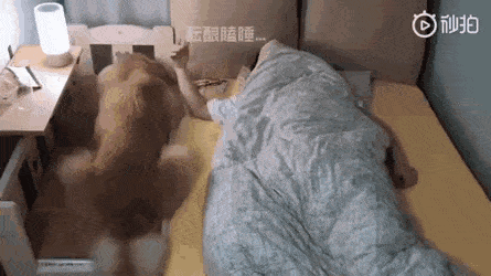 침대가 좁은 게 아니야 .gif | 인스티즈