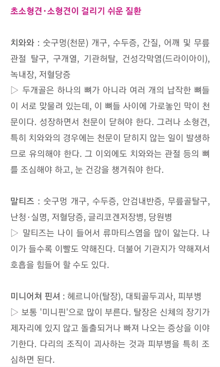 품종묘 보다 품종견에 관대한 사람들.jpg | 인스티즈