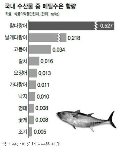 국내 해산물 중금속 함량 순위.jpg | 인스티즈