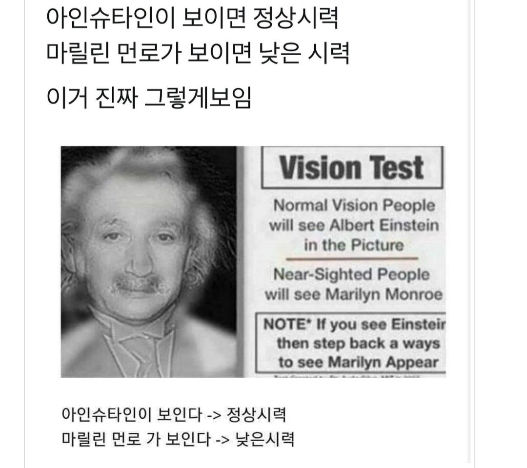 시력테스트 | 인스티즈
