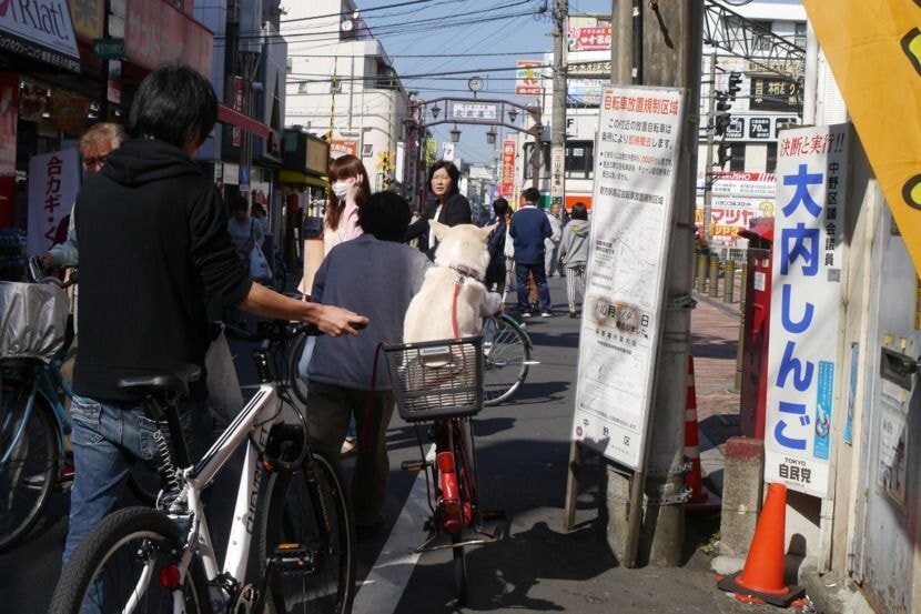 잘..지내는구나.. | 인스티즈