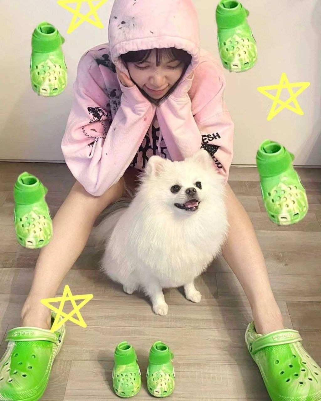 르세라핌 채원 인스타그램 업데이트 (반려견) | 인스티즈