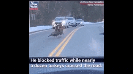 리더의 역할.gif | 인스티즈