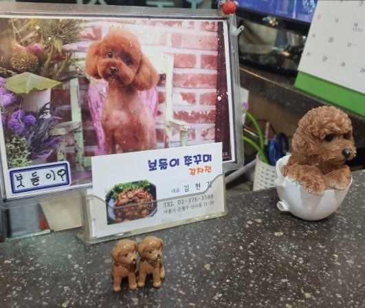 맥락없이 다짜고짜 하는 개자랑을 좋아하는 편 | 인스티즈