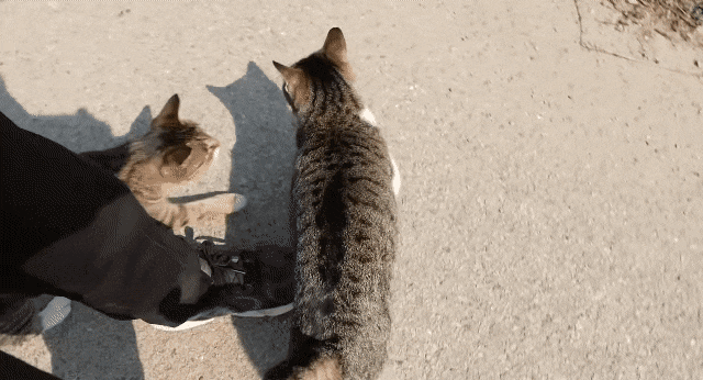 [hahaha] 양어장 일짱 하연님 | 인스티즈