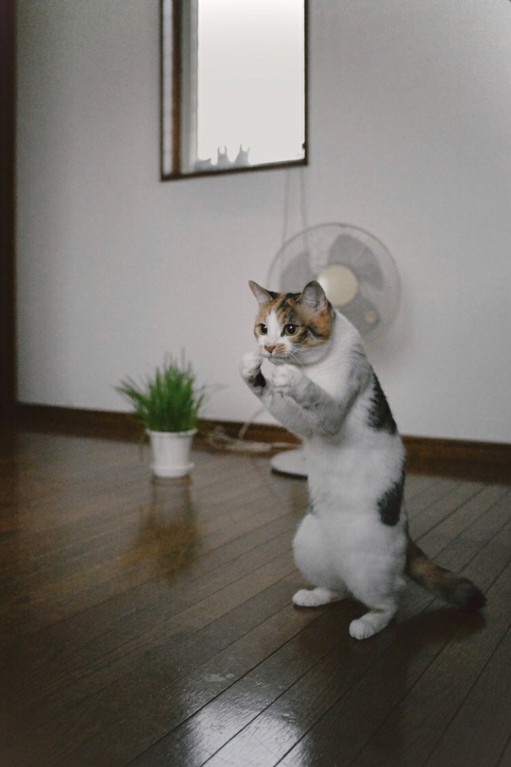 언니. 언니 괴롭히는 놈 누구야 | 인스티즈