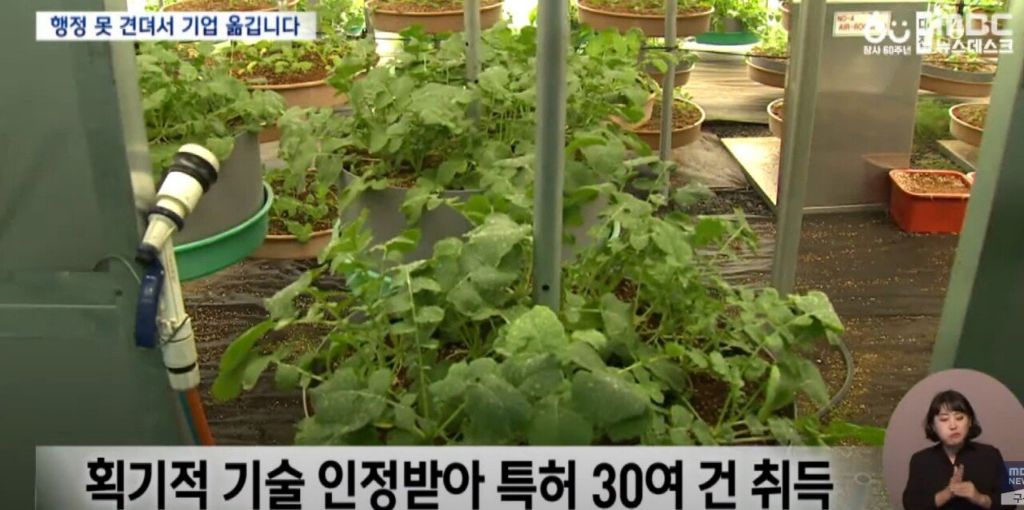 충남 보령시 매출 1위 공장이 떠나는 이유 | 인스티즈