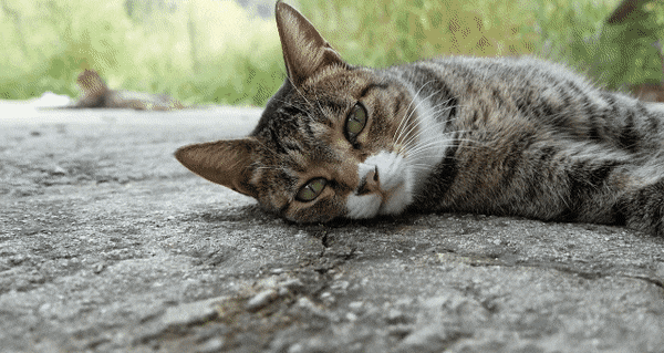 [hahaha] 양어장 일짱 하연님 | 인스티즈