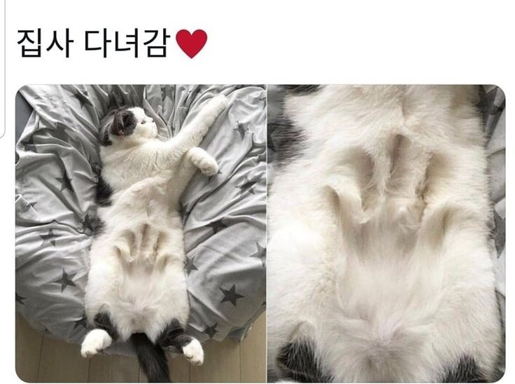 편의점을 호시탐탐 노리고 있는 모녀 | 인스티즈