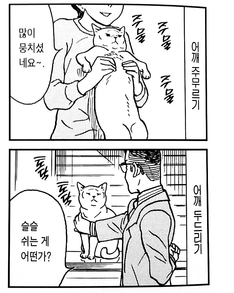 고양이 어깨 | 인스티즈