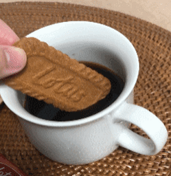 ee22a18adbb993a5f12c5a74dc8e8fd2f14d6dcb