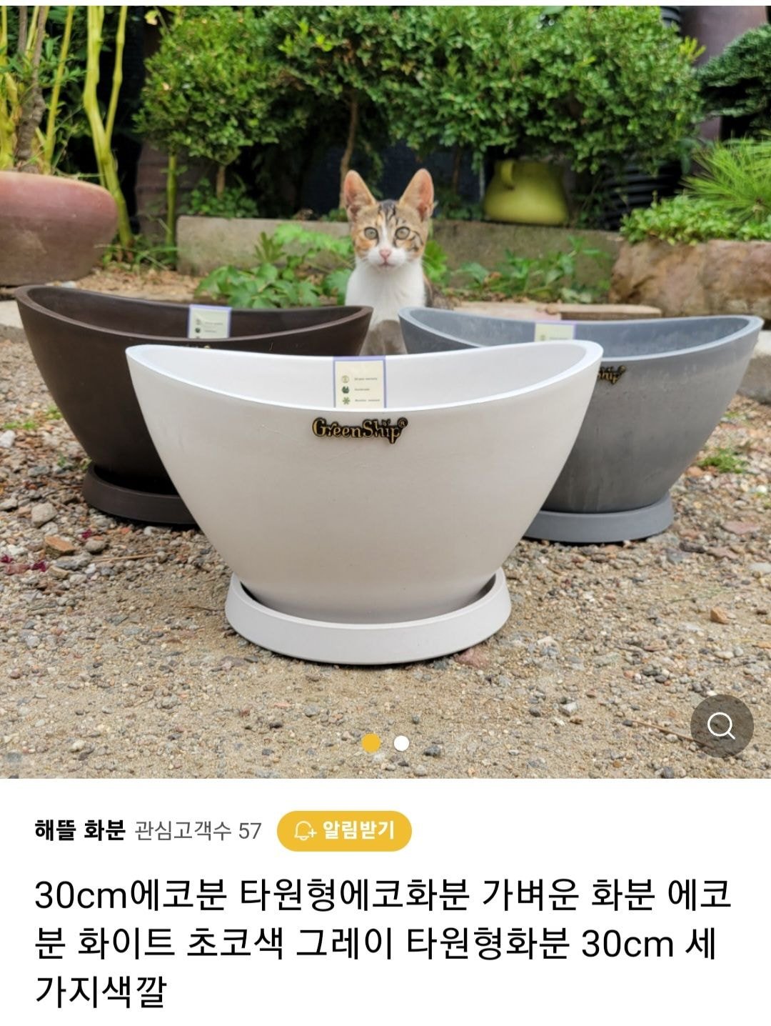 우리가게 물건 좋아요 고양이도 보세요 | 인스티즈