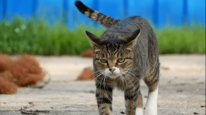 [hahaha] 양어장 일짱 하연님 | 인스티즈