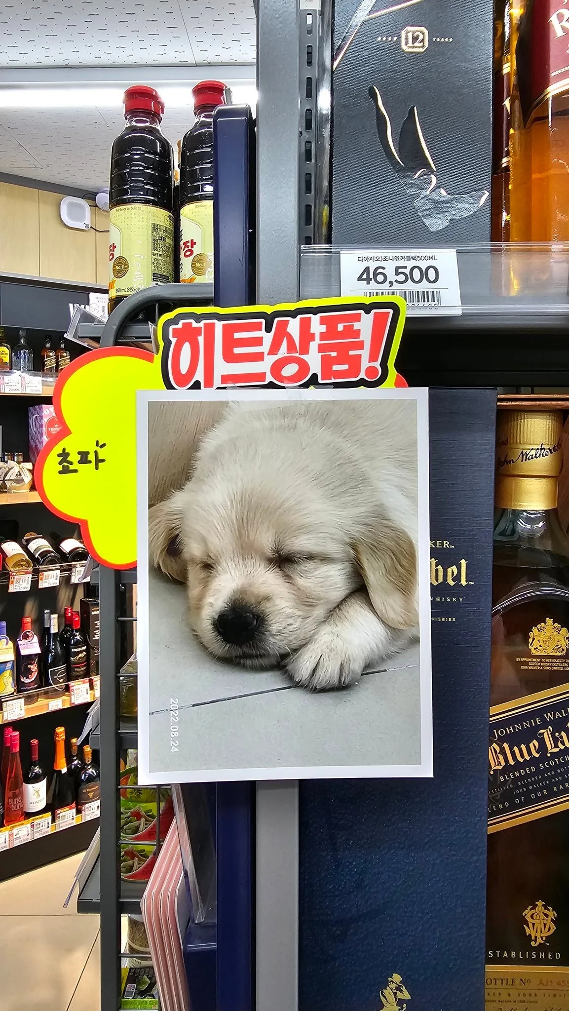 맥락없이 다짜고짜 하는 개자랑을 좋아하는 편 | 인스티즈