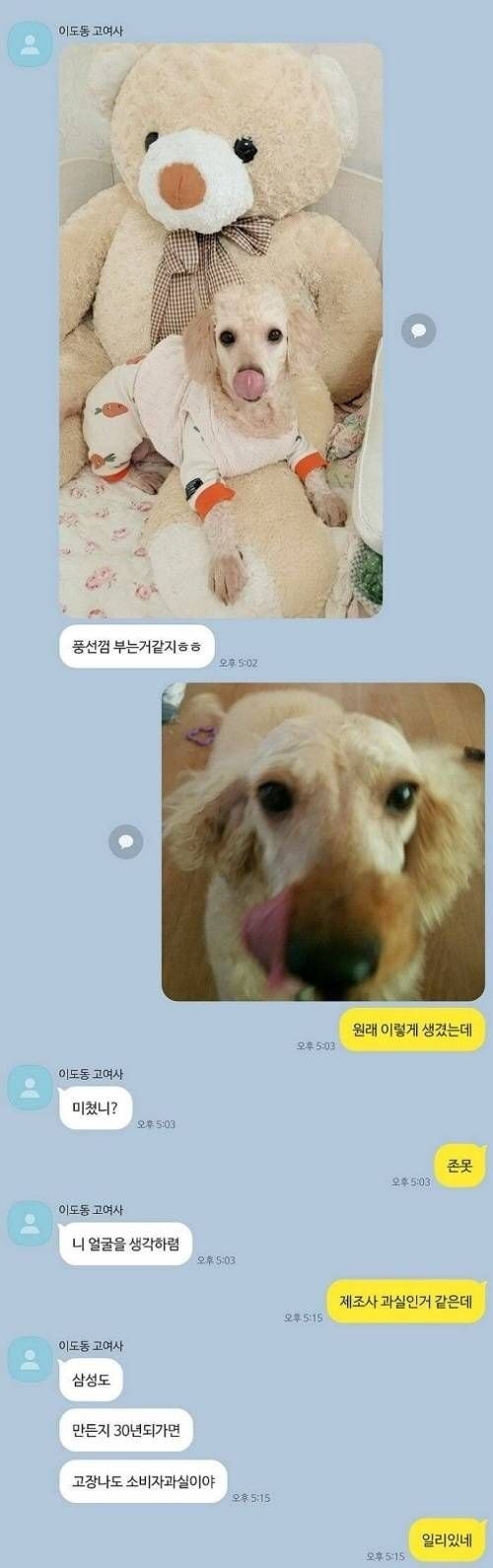강아지만 이뻐하는 엄마와 카톡 | 인스티즈