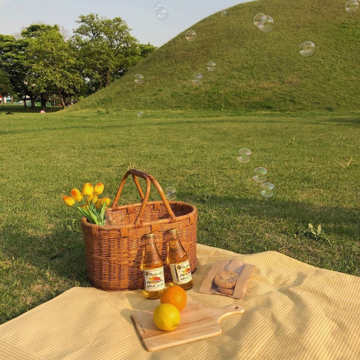 지극히 평화롭고 사랑스러운 | 인스티즈