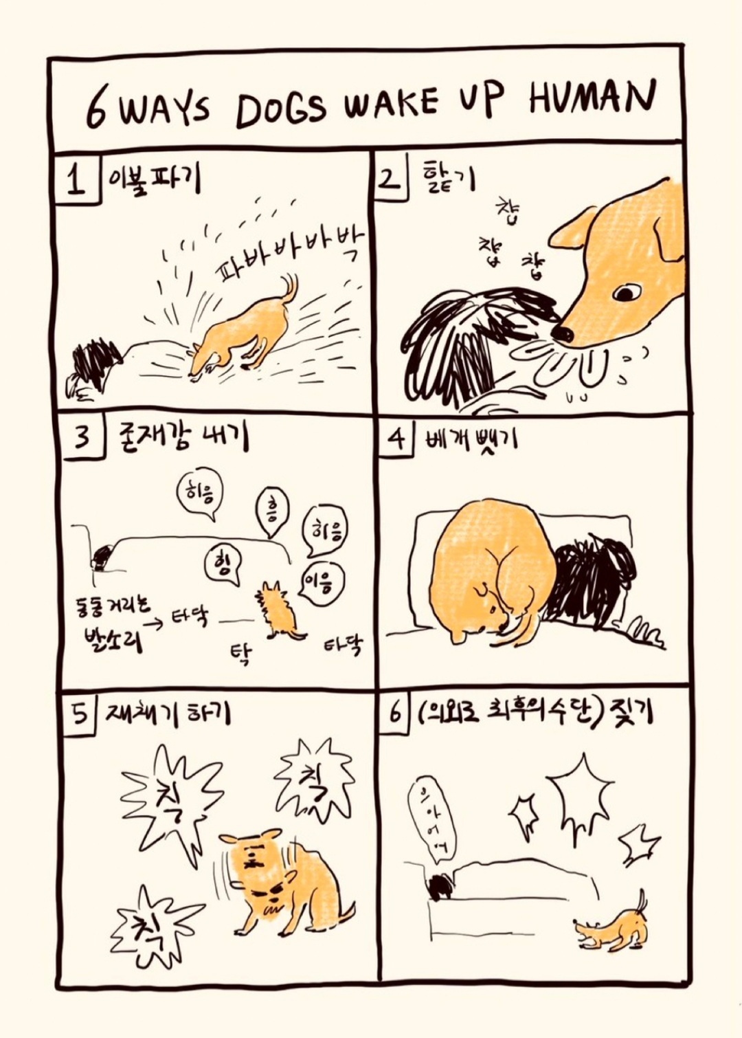 개가 사람 깨우는 6가지 방법.JPG | 인스티즈