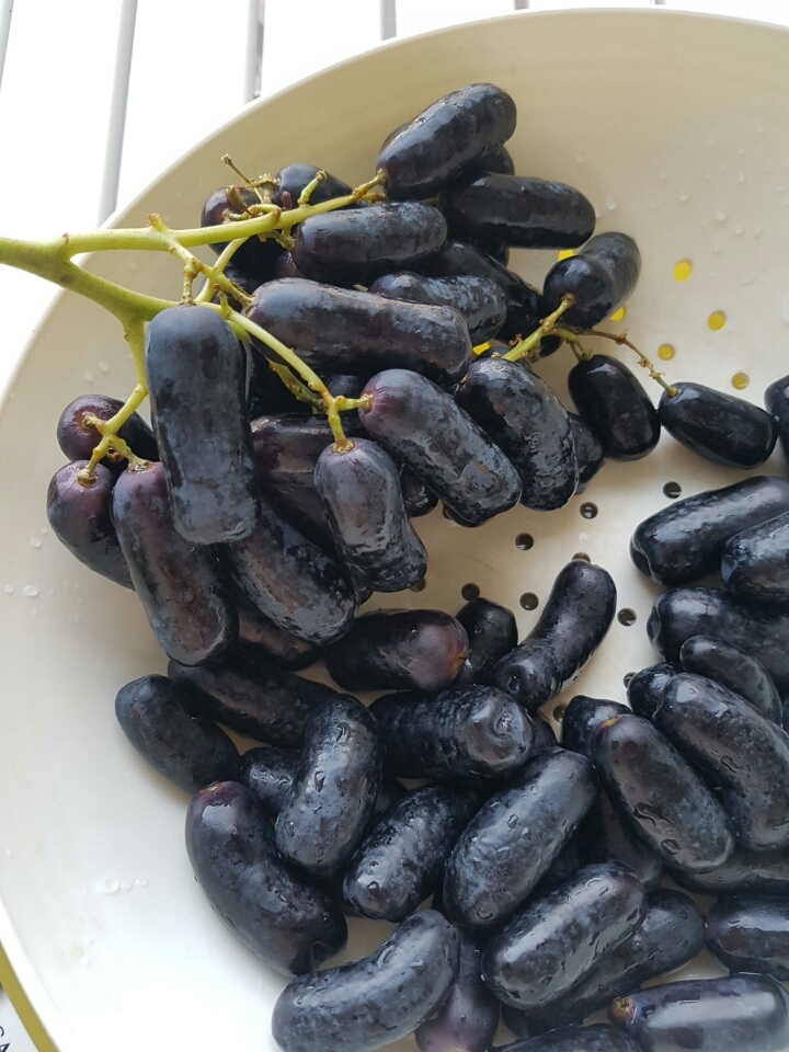 블랙사파이어 포도 jpg | 인스티즈