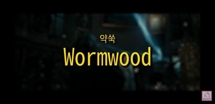 해리포터와 스네이프교수의 첫만남 그리고 해리에게 한 첫질문.jpg | 인스티즈