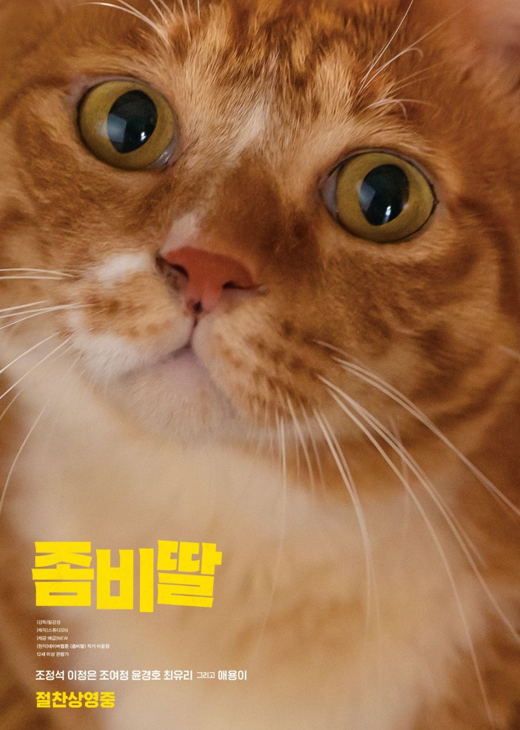세계 고양이의 날 기념 좀비딸 애용이 포스터 | 인스티즈