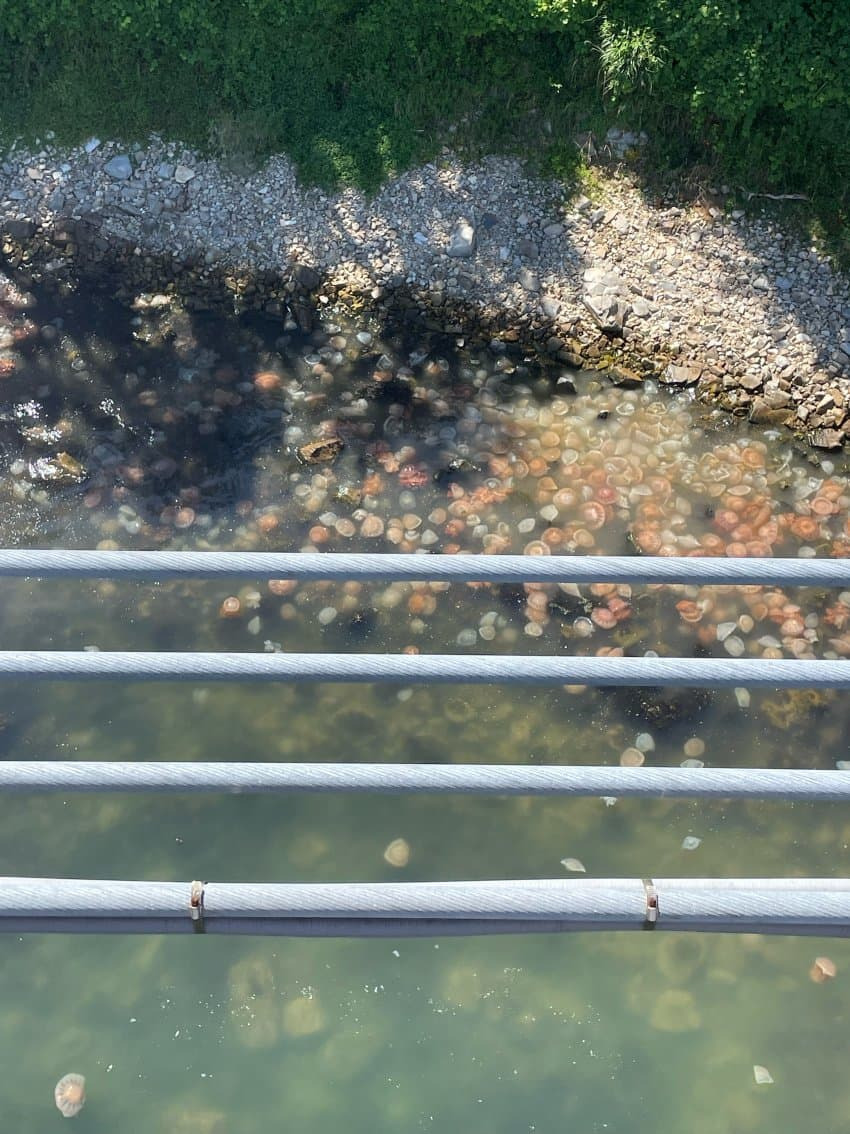 울산 앞바다 근황 | 인스티즈