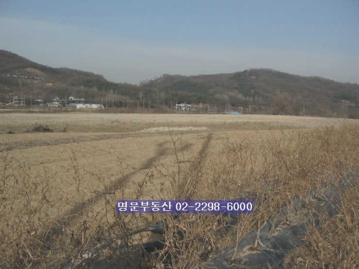 신혼집이 판교에 있었다는 한가인 | 인스티즈