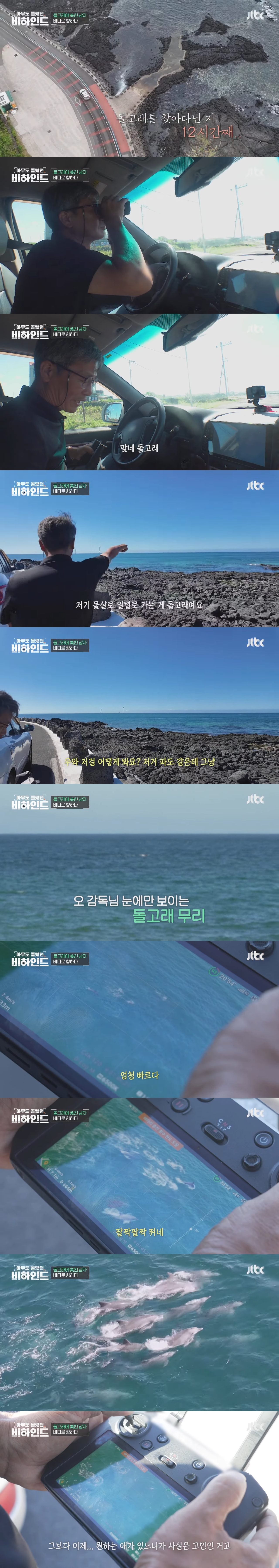 인간이 버린 쓰레기에 걸려 고통 받는 돌고래들을 따라다니는 돌고래 아빠 | 인스티즈