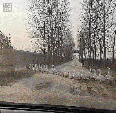 지각사유.gif | 인스티즈