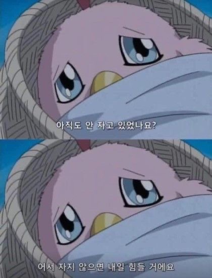 사랑은 낭만적이라 지독하리만큼 아프고 금방 시들어버려서 | 인스티즈