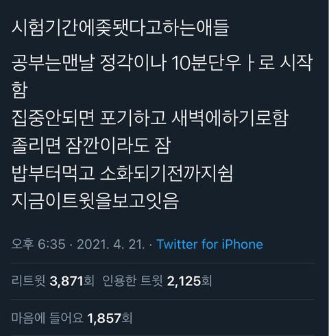 시험기간에됏다고하는애들.twt | 인스티즈