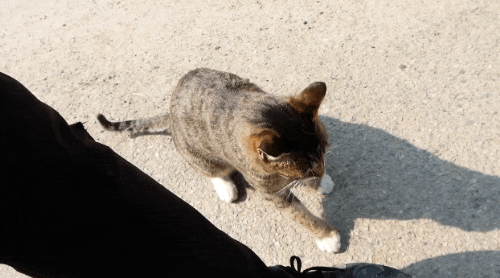 [hahaha] 양어장 일짱 하연님 | 인스티즈