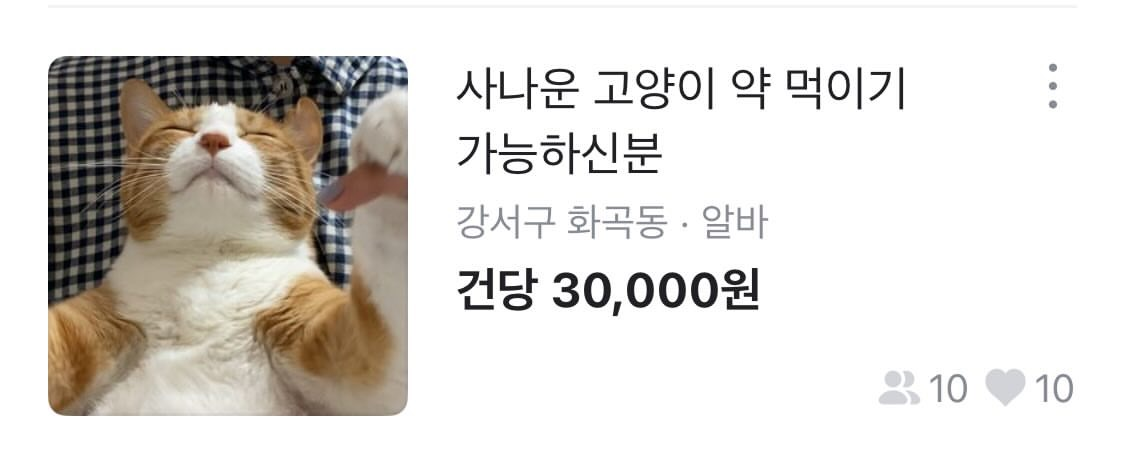 사나운 고양이 발톱깍기 당근 알바 고양이 다른사진 | 인스티즈