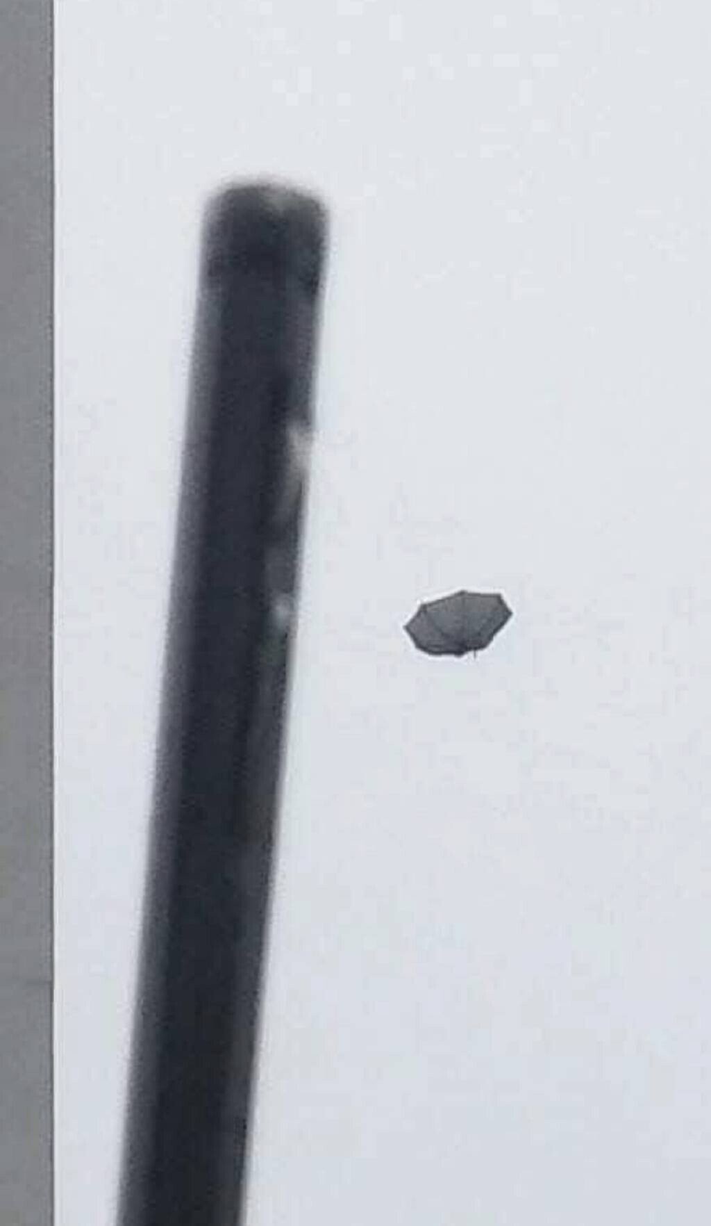 다이소 우산 후기.jpg | 인스티즈