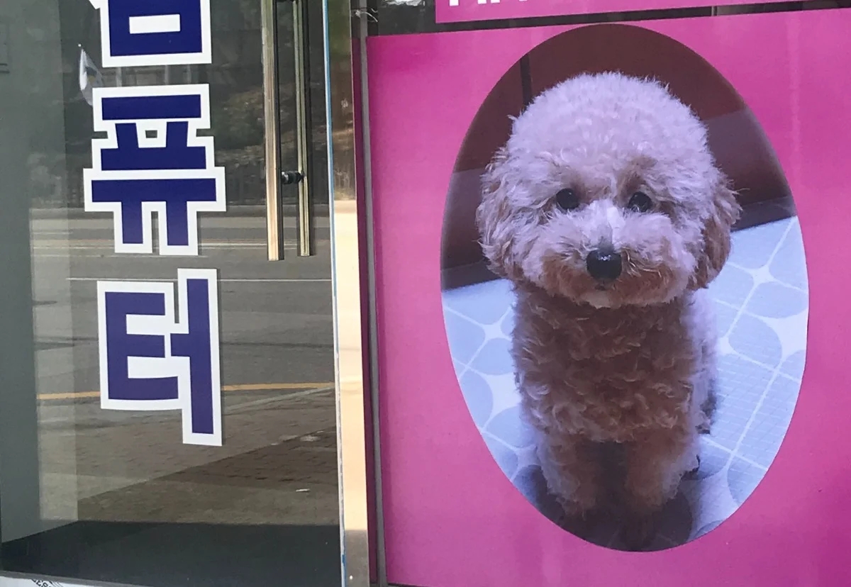 맥락없이 다짜고짜 하는 개자랑을 좋아하는 편 | 인스티즈