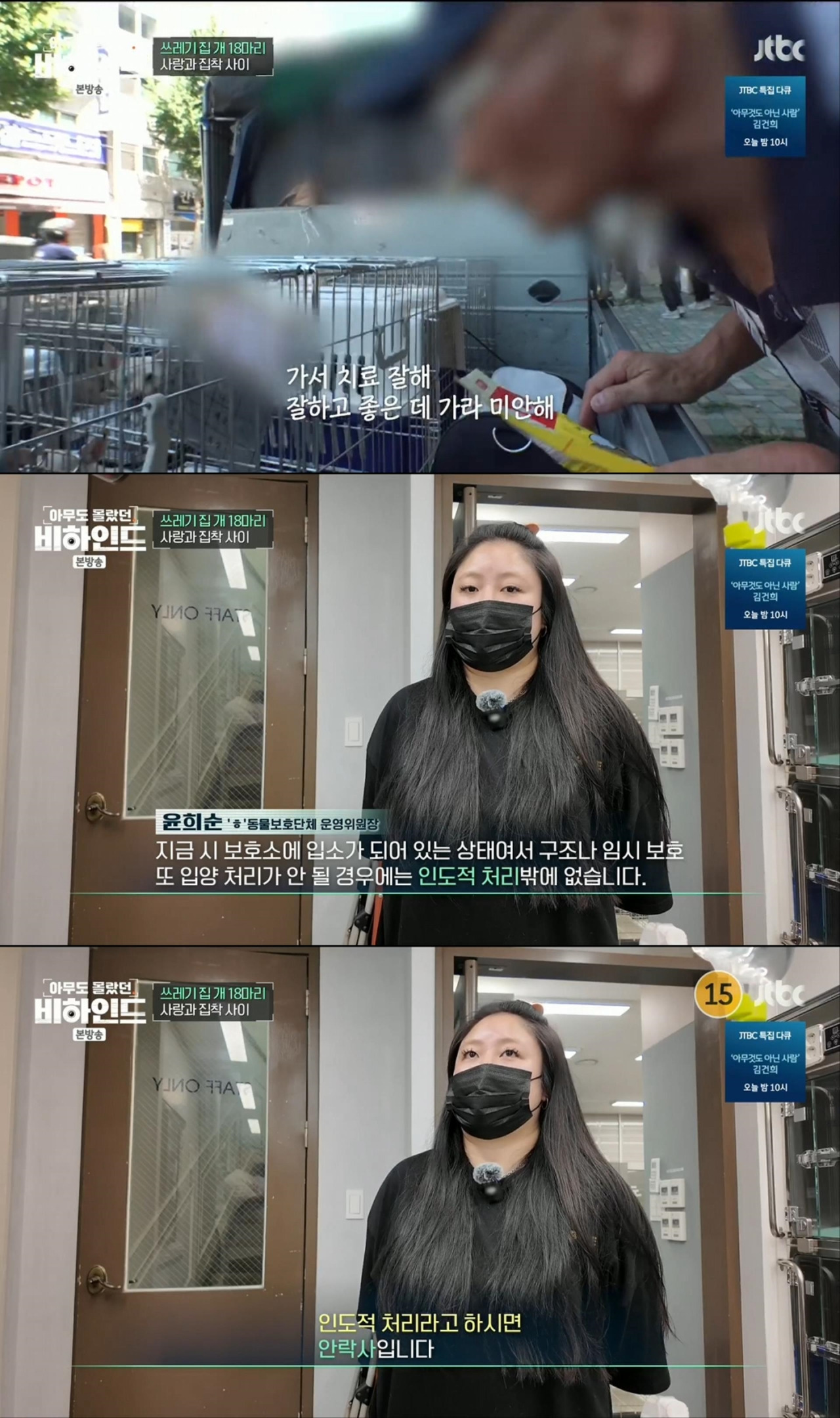 할머니와 할아버지와 함께 쓰레기집에서 살던 18마리의 강아지들 | 인스티즈
