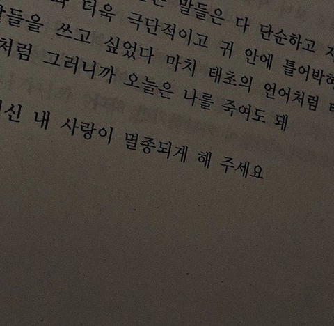 처음 사랑하는 것처럼 사무치게 사랑할 테니 | 인스티즈