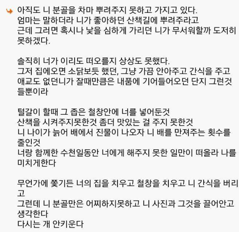 다시는 개 안키운다 | 인스티즈