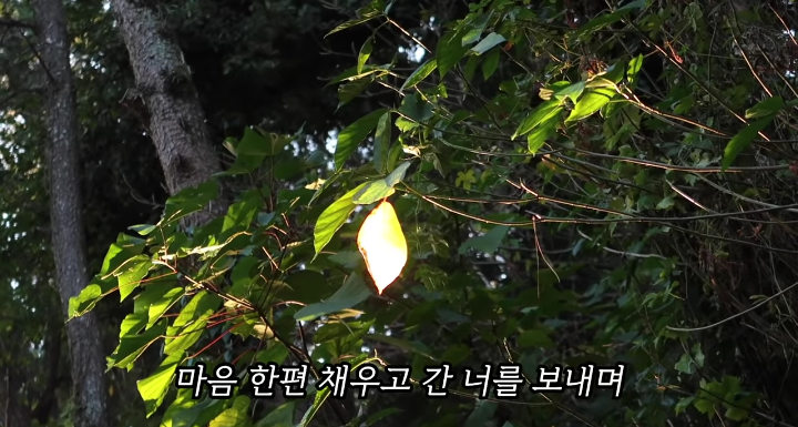 반려묘를 떠나보낸 유튜버가 올린 영상 | 인스티즈