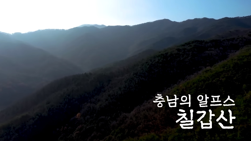 백종원 유튜브 순기능 | 인스티즈