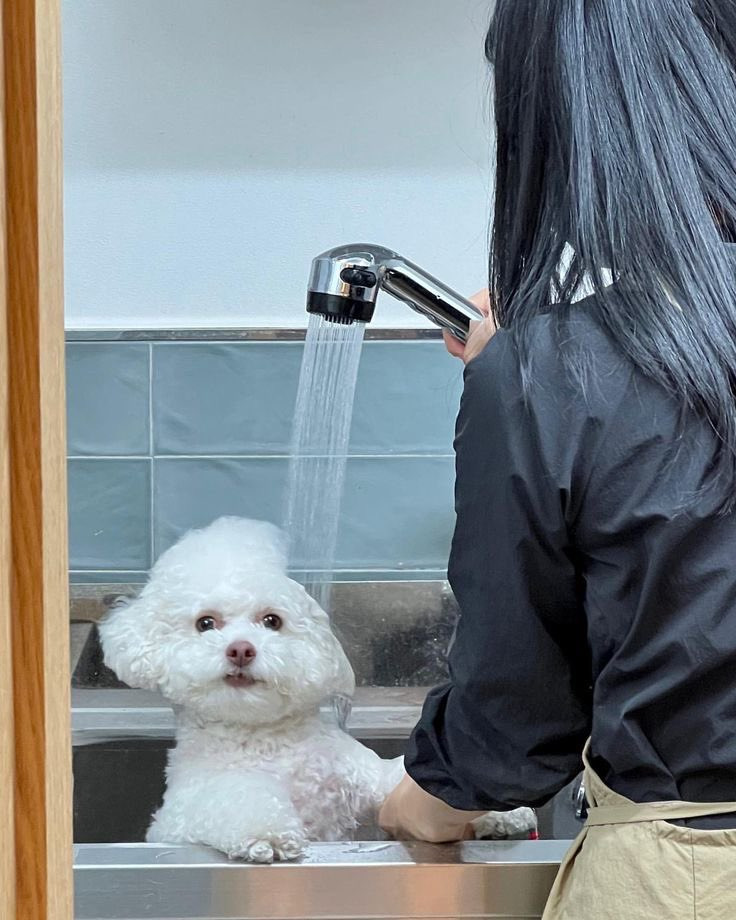 솜사탕 이미지