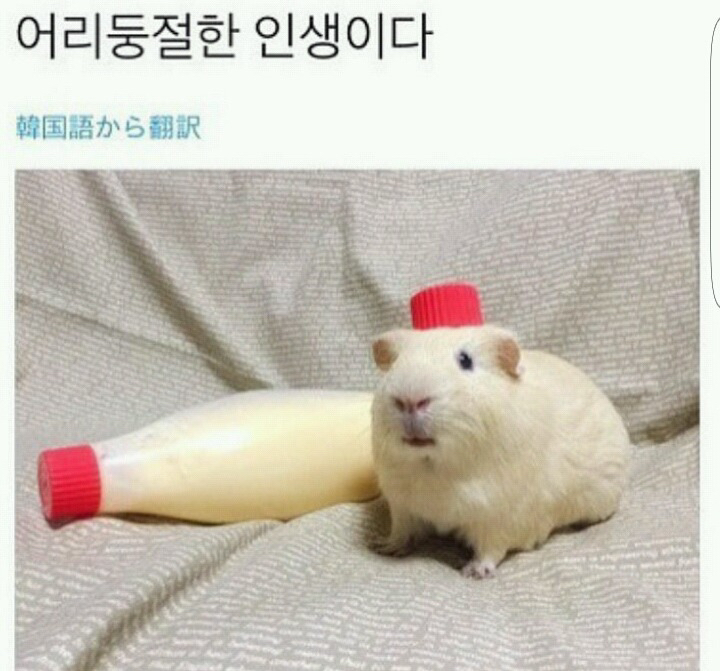 산산조각이 나면 산산조각을 얻을 수 있지 | 인스티즈