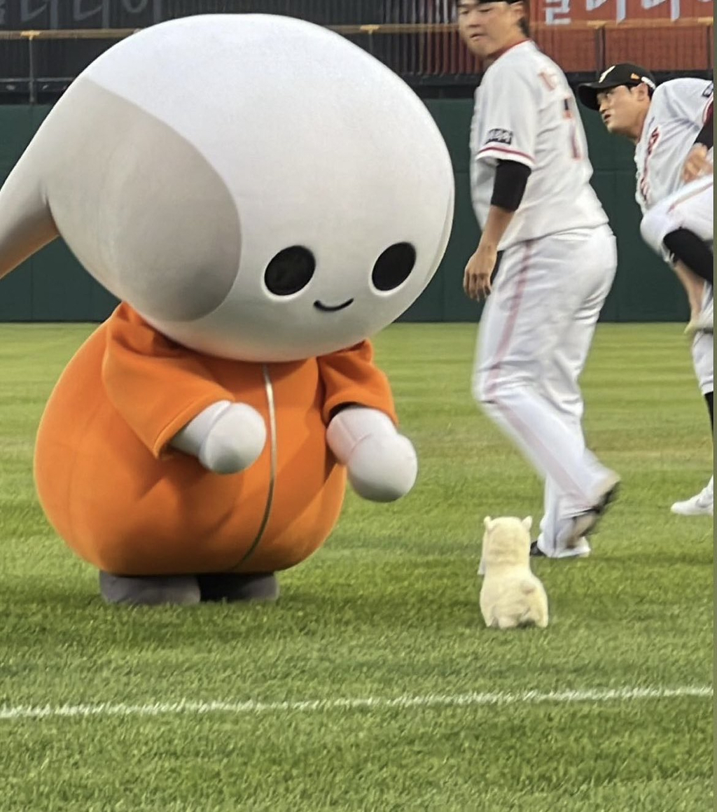 요수리 이미지