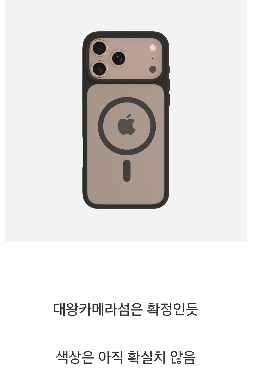 케이스 업체발 아이폰 17 프로 디자인 | 인스티즈