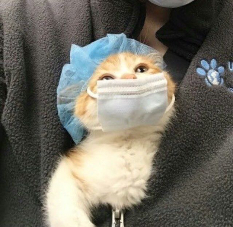 왜 나 무시해 내가 너 좋아하는거 너도 알잖아 | 인스티즈