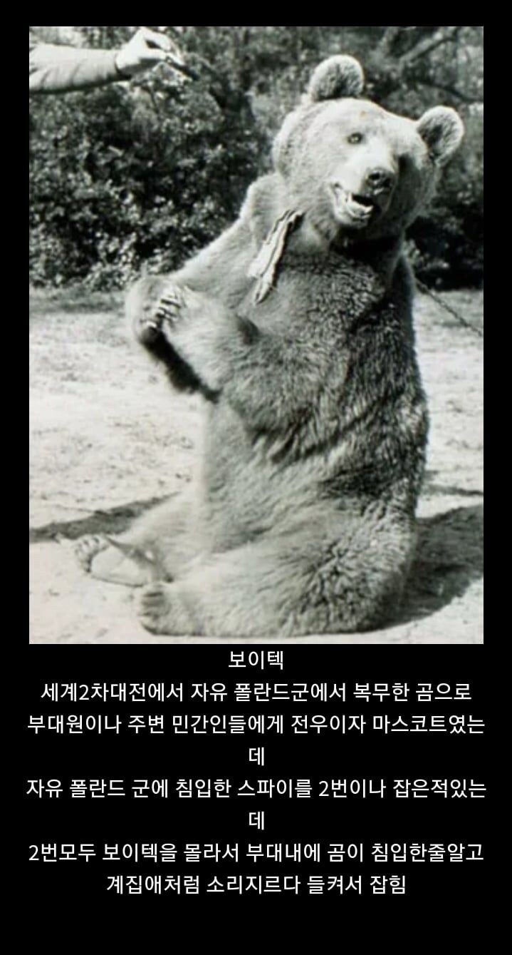 모르면 간첩 실제 적용 사례 | 인스티즈