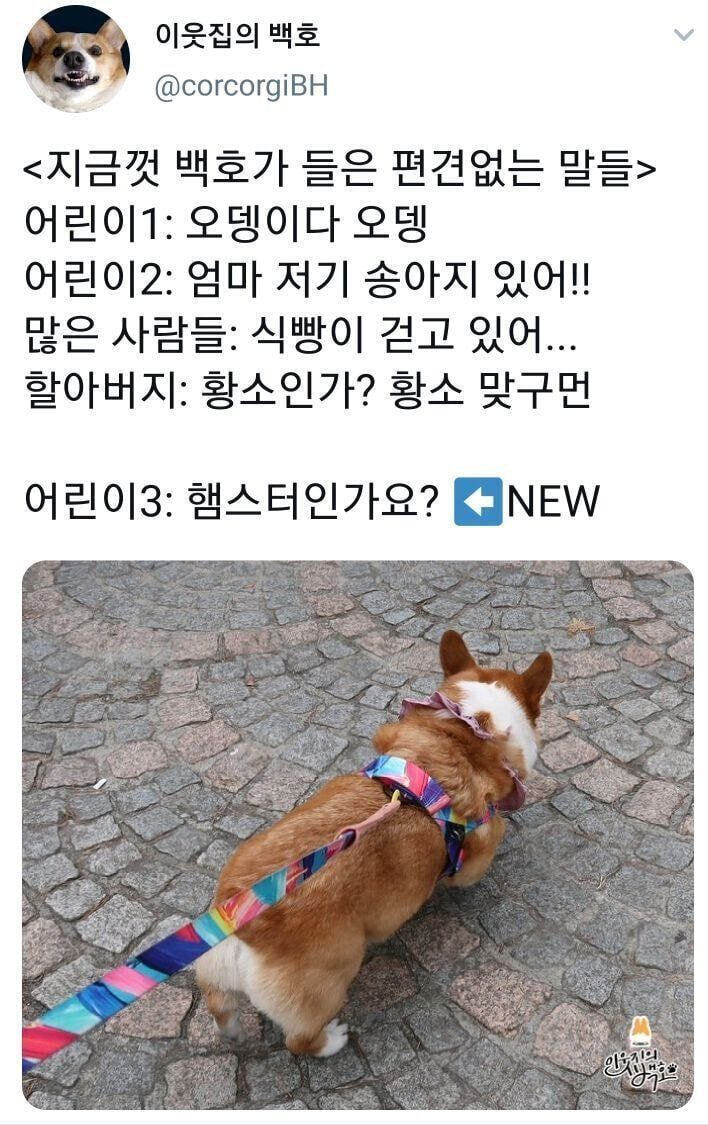 편견없는 대한민국 모음.jpg | 인스티즈